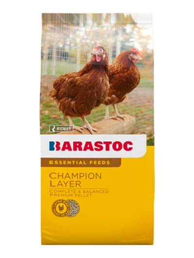 Barastoc Champion Layer
