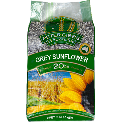 Grey Sunflower