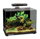 Aqua One Focus 25L Aquarium