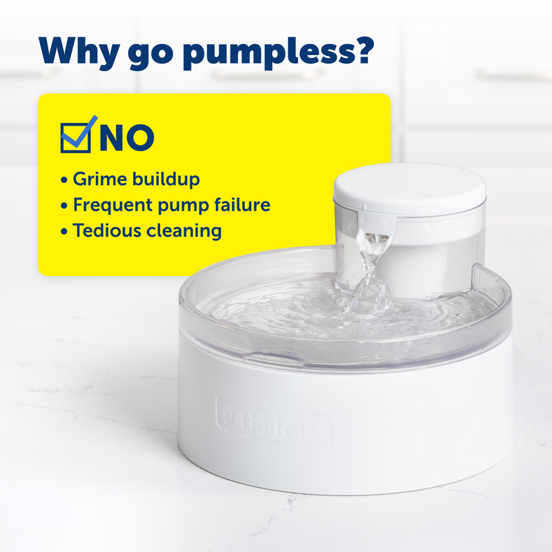 PetSafe® Outlast™ 3.7 Litre Pumpless Pet Fountain