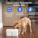 PetSafe® Viva™ Pet Fountain, 4.1 litre, Plastic Tray