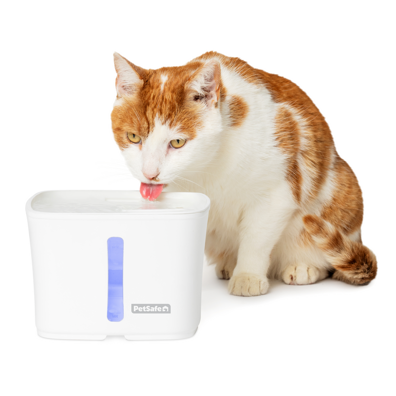 PetSafe® Viva™ Pet Fountain, 1.8 Litre, Plastic Tray