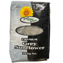 Grey Sunflower